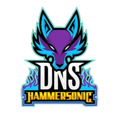 logo-team-DNS