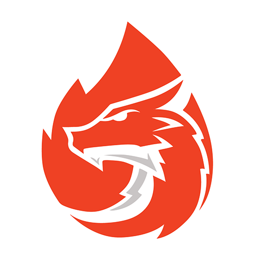 logo-team-AURB